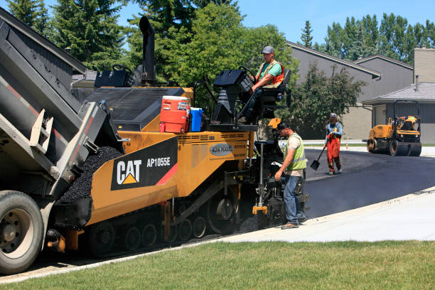 Best Professional Driveway Pavers  in Edgewater, MD